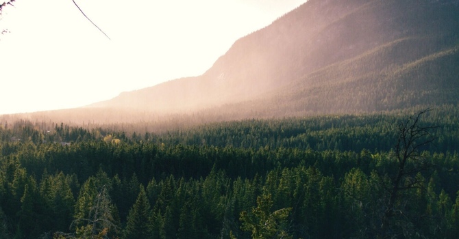 Standard Visit - Chiro